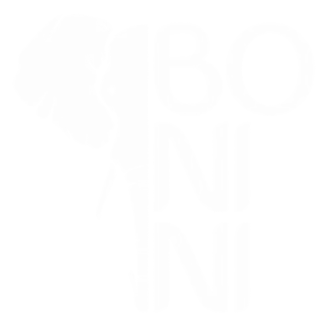 Bonini Elefante (Construtora)